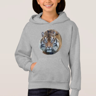 Beautiful Bengal Tiger Face Photo