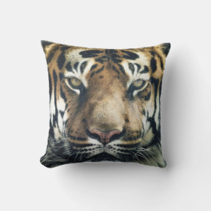 Beautiful Bengal Tiger Face Photo Cushion