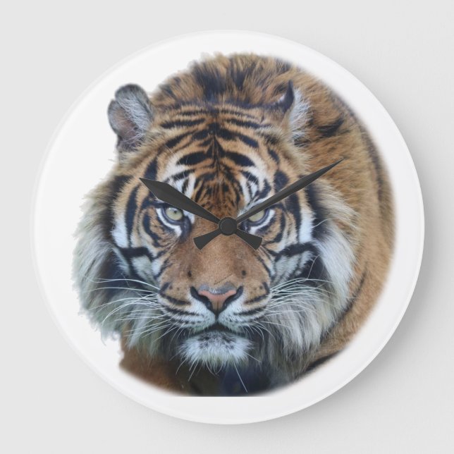 Beautiful Bengal Tiger Face Photo Large Clock (Front)