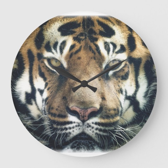 Beautiful Bengal Tiger Face Photo Large Clock (Front)