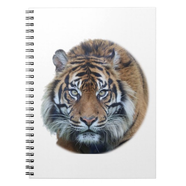Beautiful Bengal Tiger Face Photo Notebook (Front)