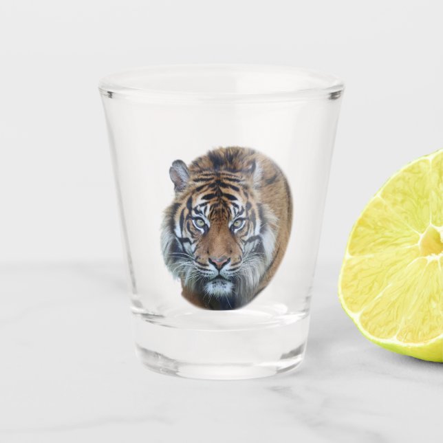 Beautiful Bengal Tiger Face Photo Shot Glass (Front)