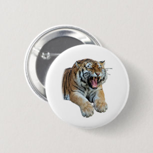 Beautiful Bengal Tiger Face & Teeth Photo 6 Cm Round Badge