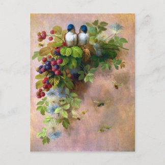 Beautiful Berry Vines and Blue Birds Postcard