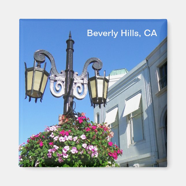 Beautiful Beverly Hills Magnet! Magnet (Front)