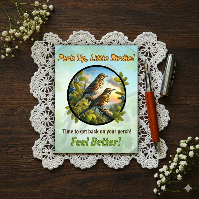 Beautiful Bicknell's Thrush Get Well  Postcard (Creator Uploaded)