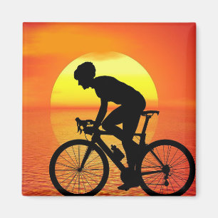 Beautiful Bicycle Silhouette Sunset Scene Colourfu Magnet