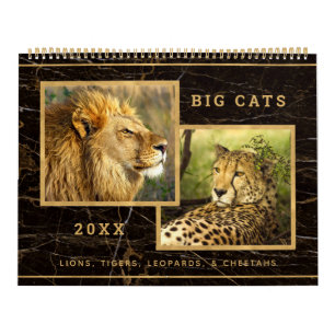 Beautiful Big Cats Photo Image Calendar