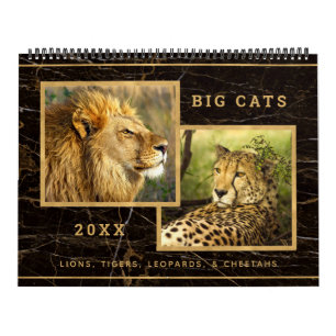 Beautiful Big Cats Photograph Calendar
