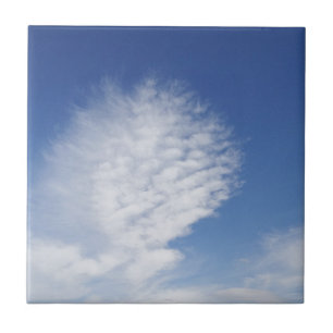Beautiful, big cloud tile