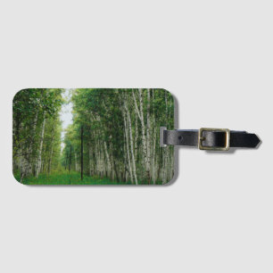 Beautiful Birch Tree Forest Art Luggage Tag