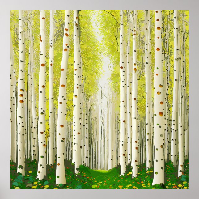 Beautiful Birch Tree Forest Landscape  Poster (Front)