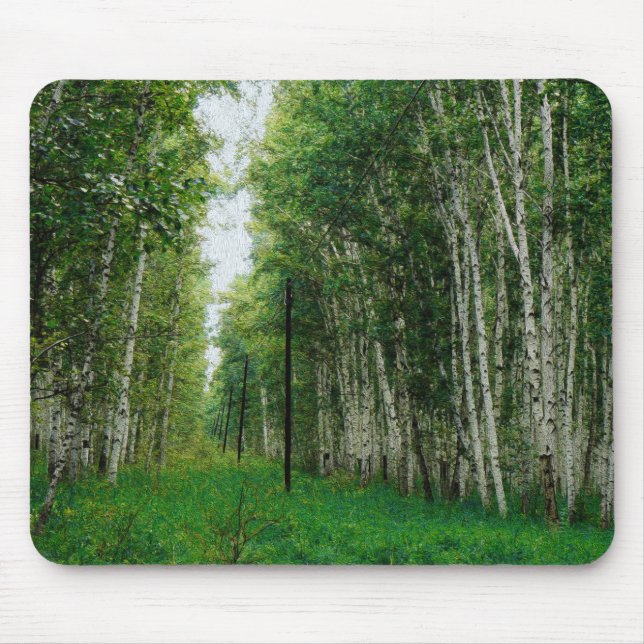 Beautiful Birch Tree Forest Mouse Pad (Front)