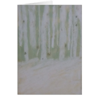 Beautiful Birches on Snow-Softened Forest Floor