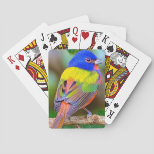 Beautiful Bird Deck of Playing Cards