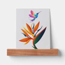 Beautiful bird of paradise flower