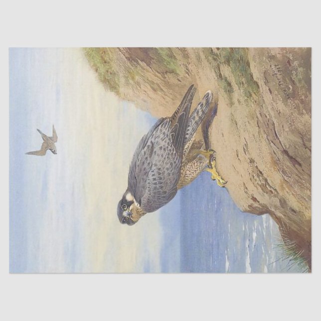 Beautiful Bird Peregrine Falcon Decoupage Tissue Paper (Front)