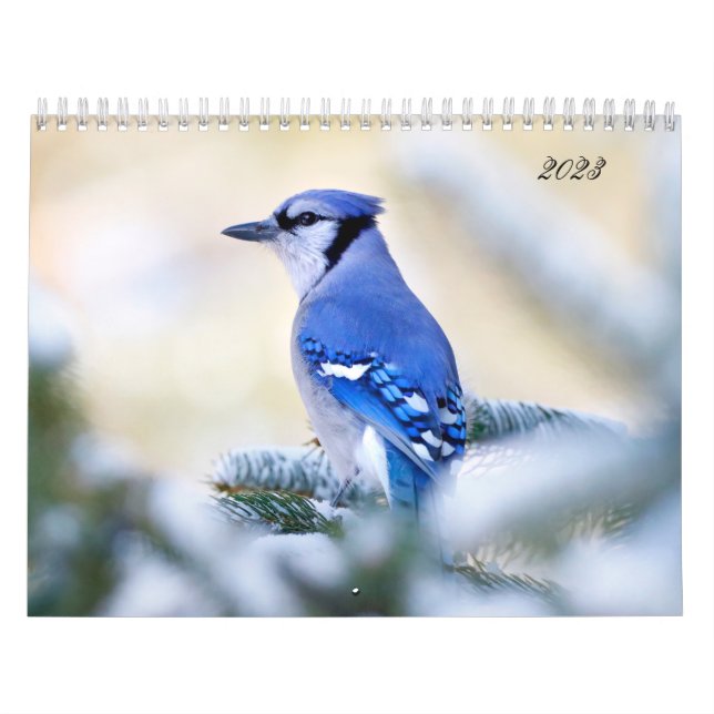 Beautiful Bird Photography Wall Calendar Song Bird (Cover)
