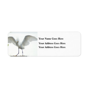 Beautiful bird return address label