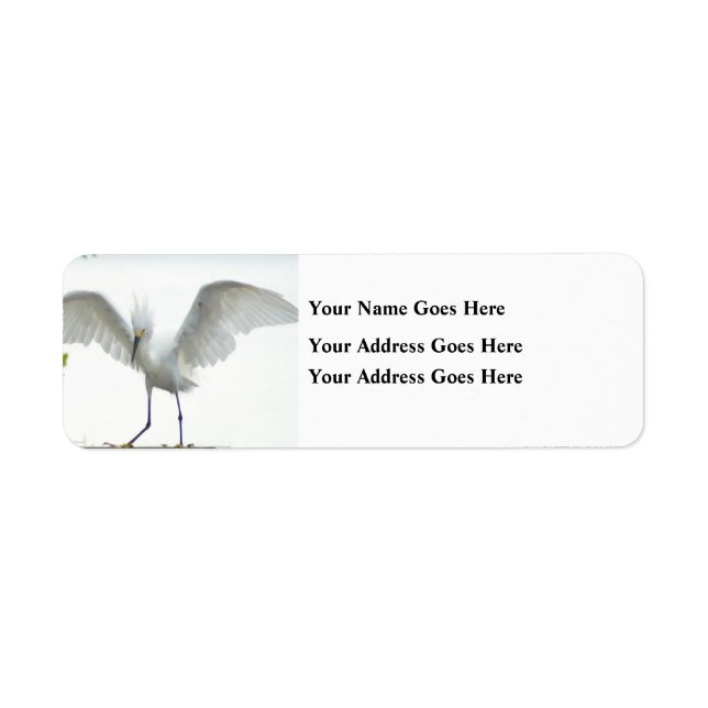Beautiful  bird return address label (Front)