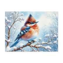 Beautiful Bird White Painting 