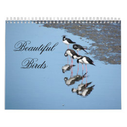 Beautiful Birds Calendar