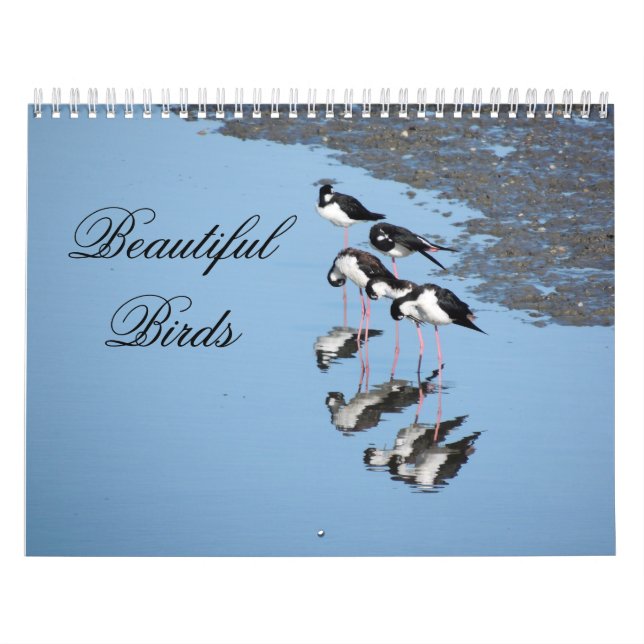 Beautiful Birds Calendar (Cover)