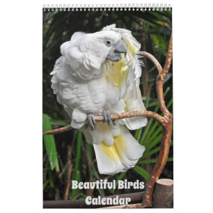 Beautiful Birds Calendar