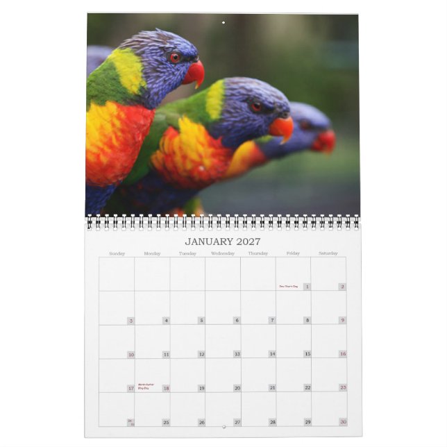 Beautiful Birds Calendar (Jan 2027)