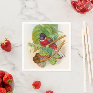 Beautiful Birds Colourful Vintage Illustration Napkin