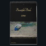 Beautiful Birds Nature Photography Birders 2025 Calendar<br><div class="desc">A beautiful, colourful, custom, full year, home office school shop business wall calendar, featuring strikingly beautiful photographs of wild birds in their habitat. The birds featured include rusty cheeked scimitar babbler, eurasian collared dove, golden-fronted leafbirds, great blue heron, Indian jungle myna, Indian pond heron, white-throated kingfisher, rose-ringed parakeet, spotted dove,...</div>