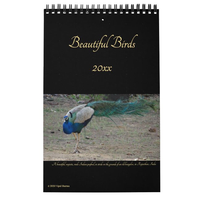 Beautiful Birds Nature Photography Birders 2026 Calendar (Cover)