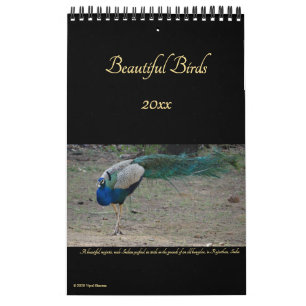 Beautiful Birds Nature Photography Birders 2026 Calendar