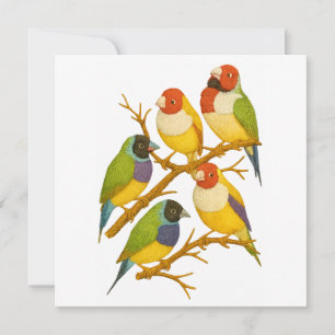 Beautiful birds on the branch