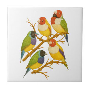 Beautiful birds on the branch ceramic tile
