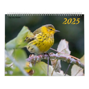 Beautiful Birds Photography 2025 Calendar Bluebird