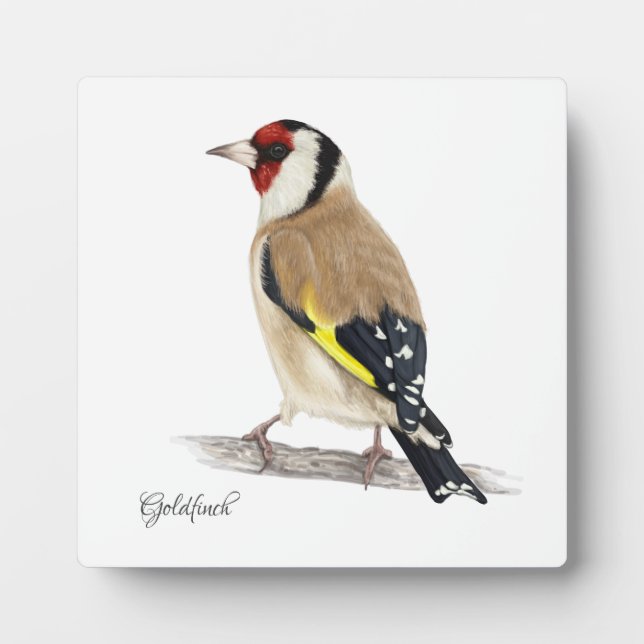 Beautiful Birds Plaque (Front)