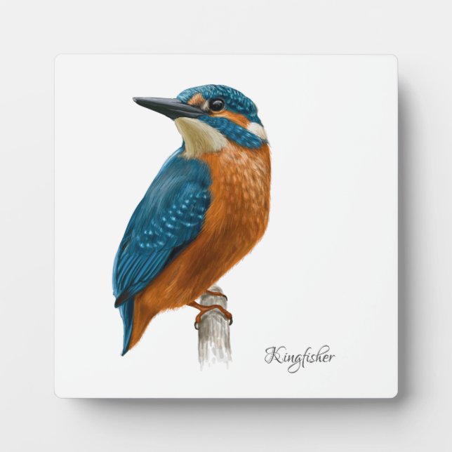 Beautiful Birds Plaque (Front)