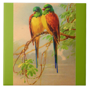 beautiful birds print ceramic tile