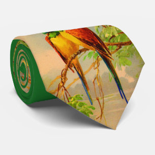 beautiful birds print tie