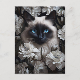Beautiful Birman Cat Among White Flowers Postcard
