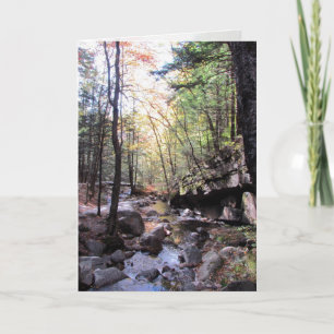 Beautiful Birthday Wishes Card