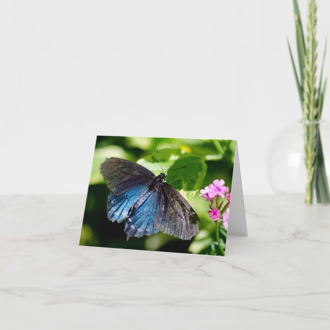 Beautiful black and blue butterfly note card (Front)
