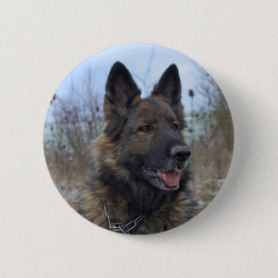 beautiful black and tan German Shepherd puppy 6 Cm Round Badge