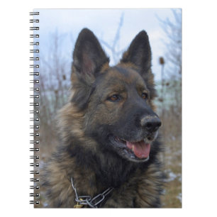 beautiful black and tan German Shepherd puppy Notebook