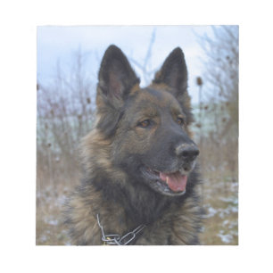 beautiful black and tan German Shepherd puppy Notepad