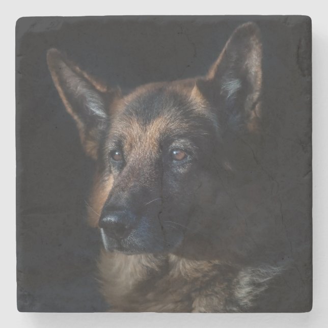 Beautiful Black and Tan German Shepherd Stone Coaster (Front)