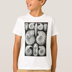 Beautiful black and white ammonites pattern design T-Shirt