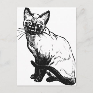Beautiful black and white artwork - Siamese cat Postcard