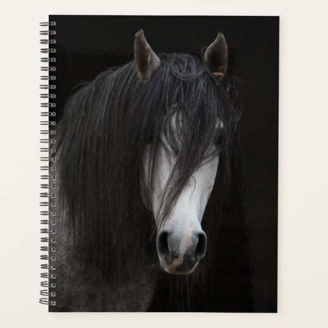 Beautiful Black and White Horse Planner (Front)